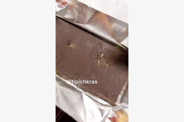Россиянка показала на видео купленный в «Магните» шоколад с червями