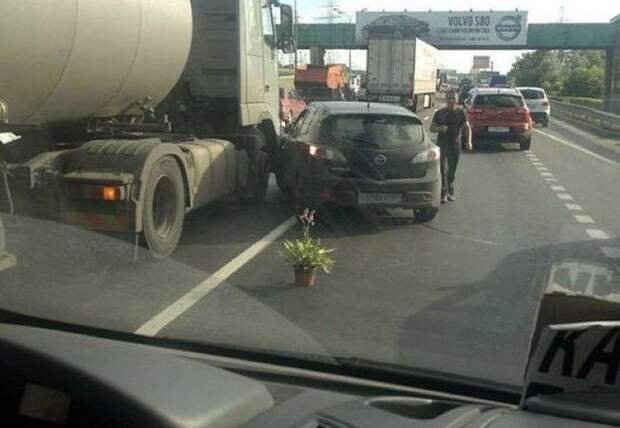 россия, люди, юмор