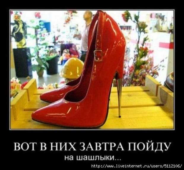 smeshnie_kartinki_132450027622 (500x463, 119Kb)