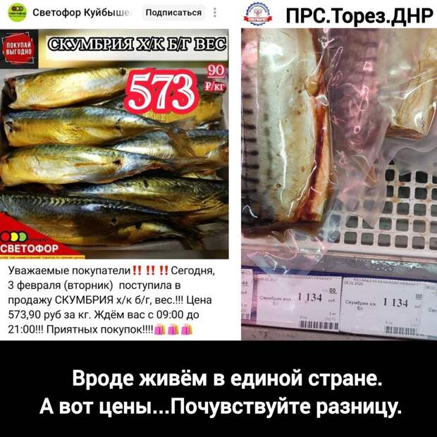 Донецкая группа новостей, Донецк ДНР