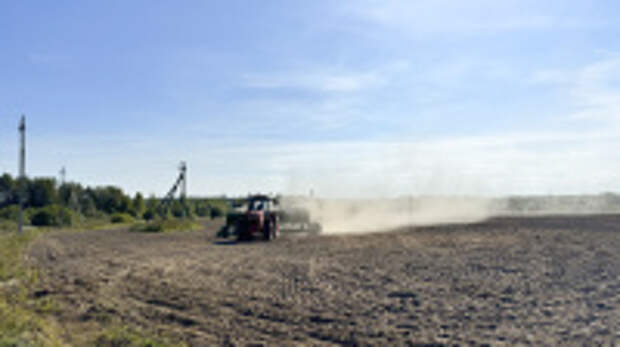 Под урожай будущего года озимый сев в регионе увеличен  почти на 2 тысячи гектаров