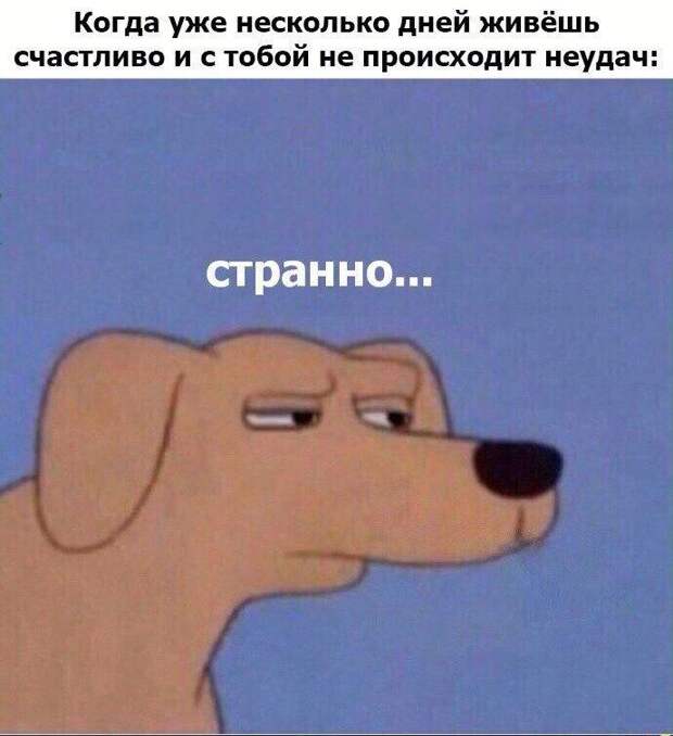 ZW9L1GBTQrc