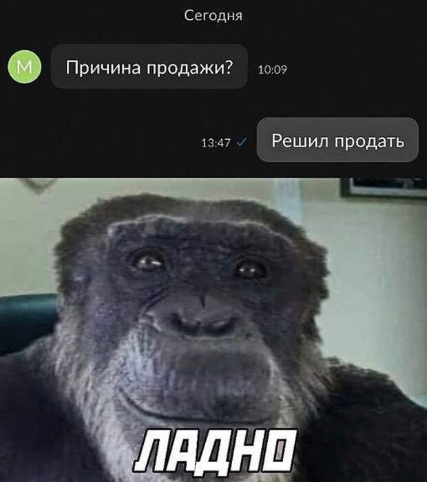 Пост с мемами: "Ну и неделька была, да?" (18 фото)