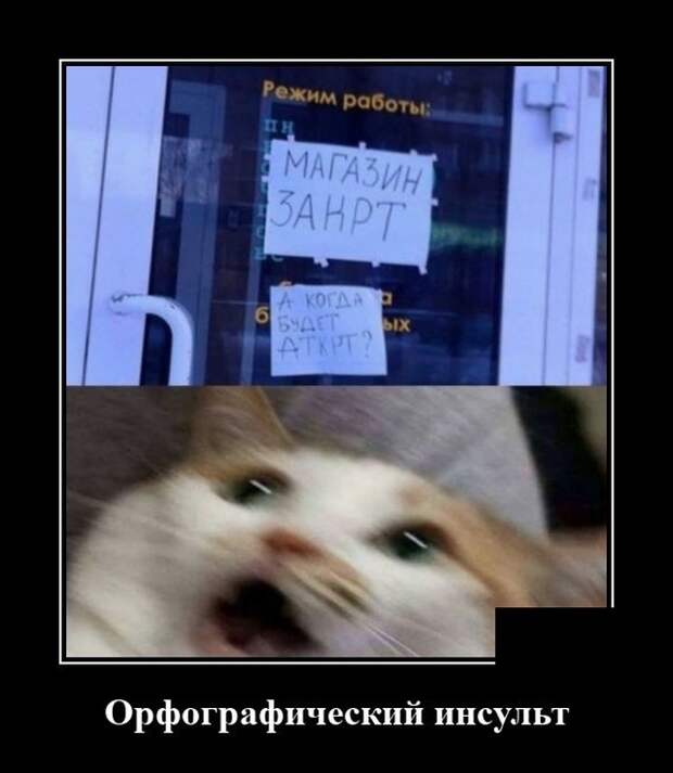Демотиваторы 14 августа 2020