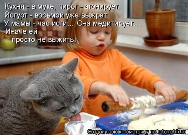 Лучшие котоматрицы недели (50 фото)