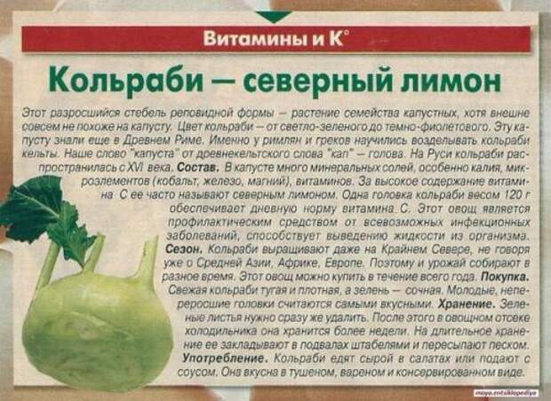 Что посадить у себя в огороде? 02