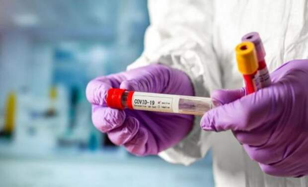 Что говорили пророки о пандемии коронавируса