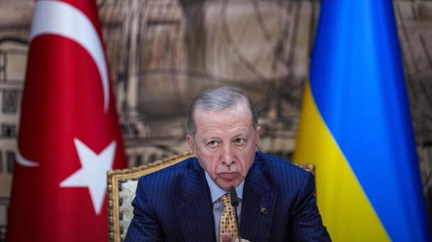 "Это было ожидаемо". Эксперт прокомментировал решение Турции по Украине