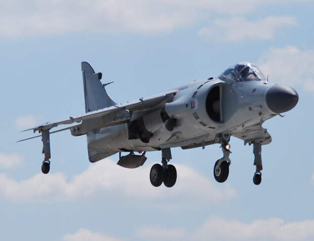 Harrier