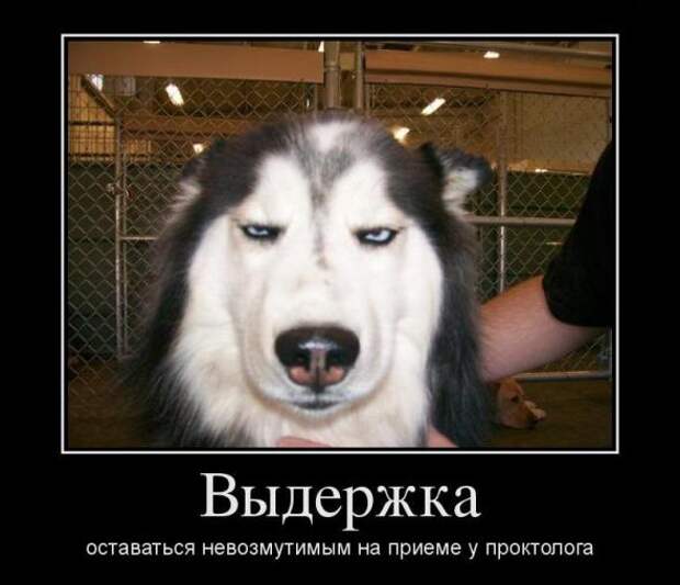 Прикольные демотиваторы