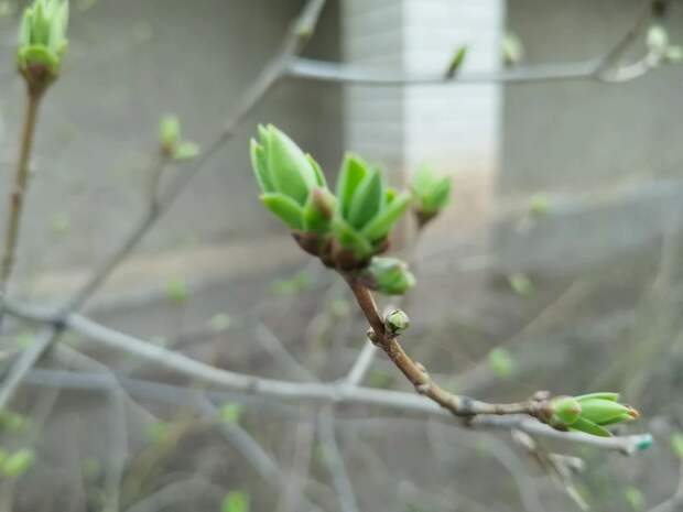 Столбик термометра в Астрахани вновь поднимется выше +20