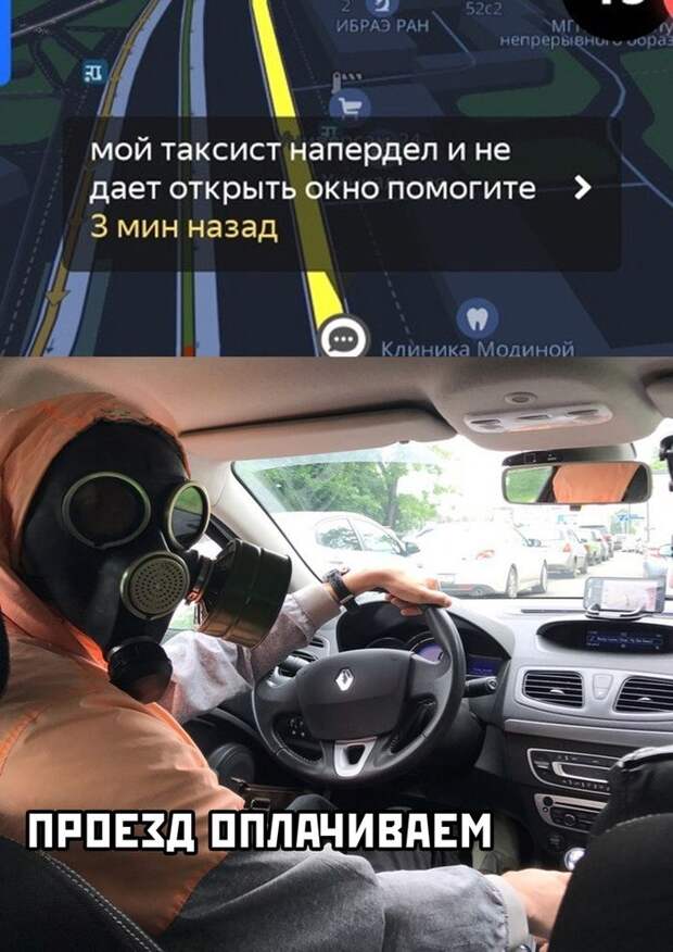 kartinok-prikolnyh-podborka-kartinki-smeshnye-kartinki-fotoprikoly