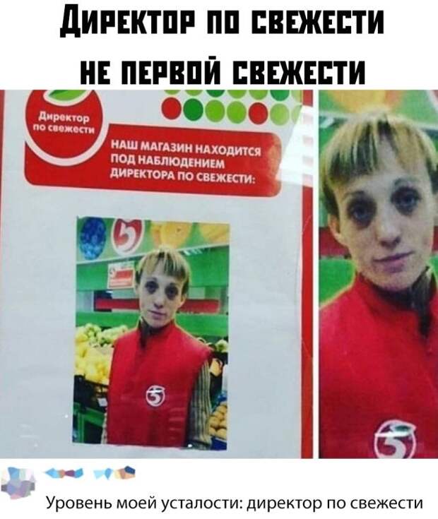 kartinok-prikolnyh-podborka-kartinki-smeshnye-kartinki-fotoprikoly