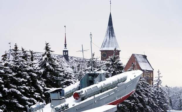 «Калининград — это Литва, а Иммануил Кант вообще жмудь». Разве ж кто рискнет возразить Вильнюсу?