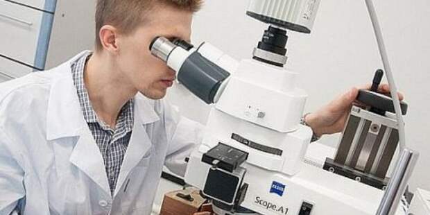 «Фаговый коктейль» вместо таблетки: как российские учёные нашли оружие против супербактерий, не поддающихся антибиотикам