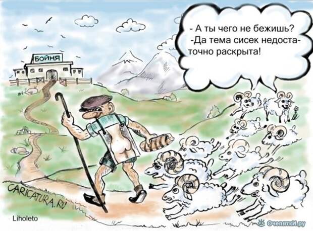 Карикатуры с тонким намёком 5