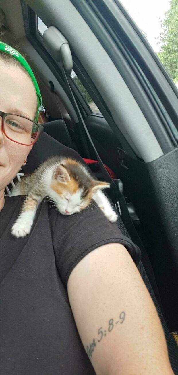 Милые котики заряжают позитивом на снимках
