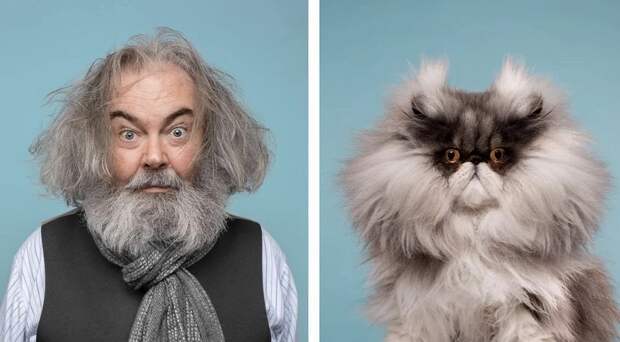 Фотография: Почти не отличить: фотограф показал, как похожи коты со своими хозяевами №13 - BigPicture.ru