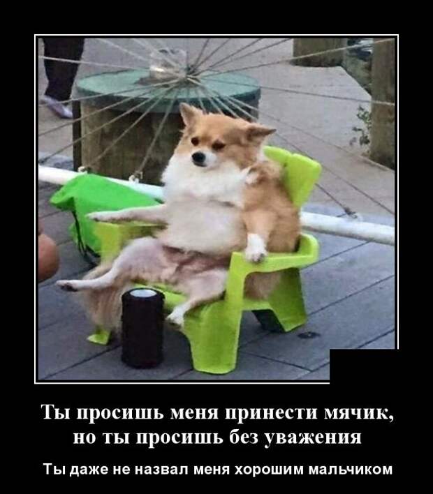 Самые новые демотиваторы (30 фото)