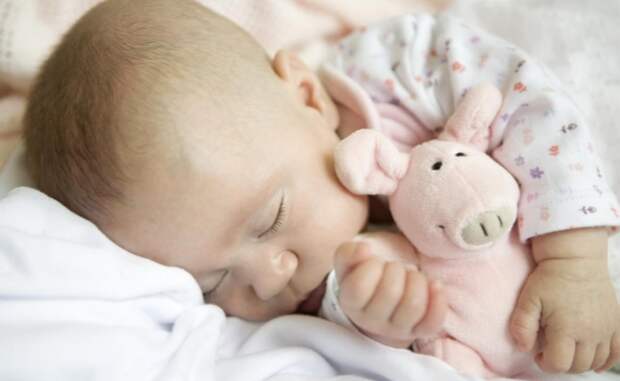 http://www.uaua.info/pictures/news/cropr_610x375/0031177_1413228019.jpg