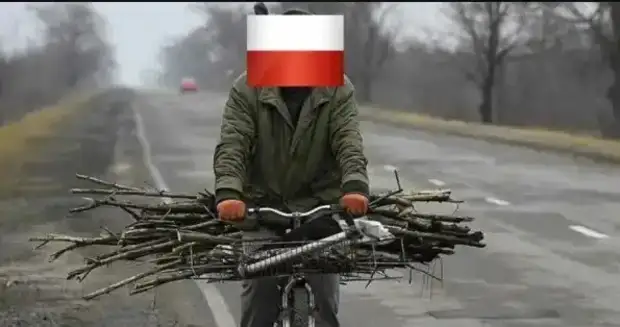 Лукашенко приготовиться: Когда хворост закончится, поляки побегут вырубать Беловежскую пущу...