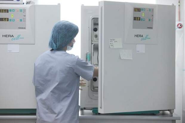 Саморазмножающиеся РНК могут помочь понять появление жизни на Земле