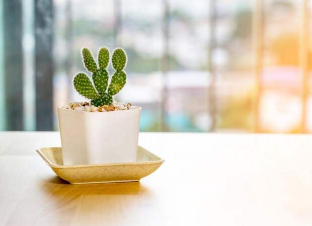 Про наши суеверия - понятно, а вот чего боятся американцы (странные предрассудки)