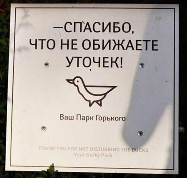 Благодарность. Благодарность.