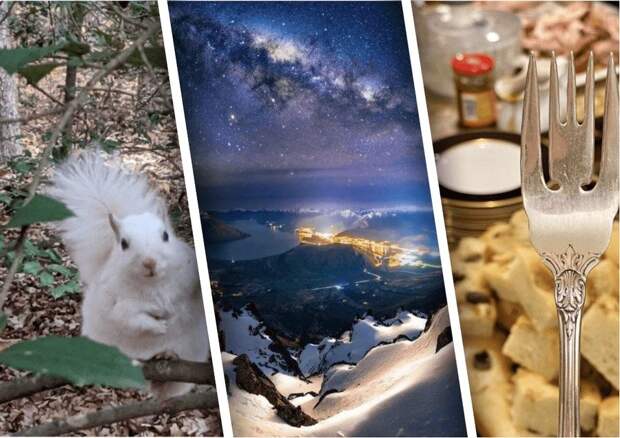 Да просто фотографии удивительных вещей