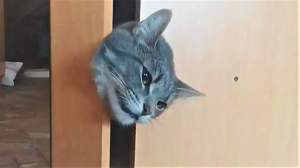 Когда Застрял, но Хозяин оказал ПОМОЩЬ