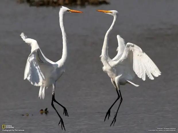 � �������� �� ����� ���