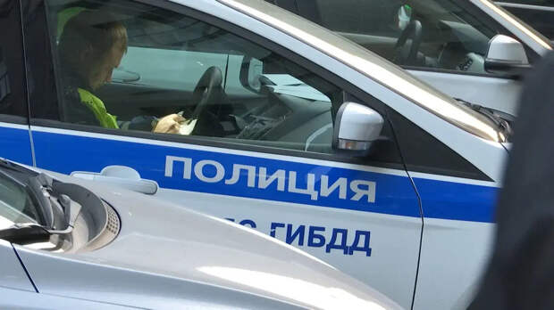 Отказавшегося снимать тонировку на морозе водителя арестовали на 5 суток