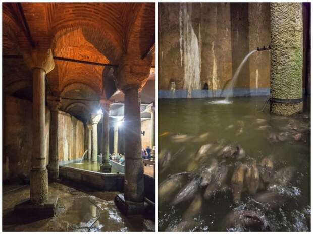 В подземном музее оформили «бассейн желаний», в котором есть совсем не золотые, но все же рыбки призванные исполнять мечты (Basilica Cistern, Стамбул). | Фото: vladimirdar.livejournal.com.