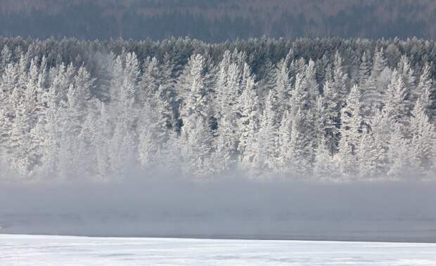 Искавшая бесследно пропавших в тайге Усольцевых волонтер указала на ошибки поисковиков