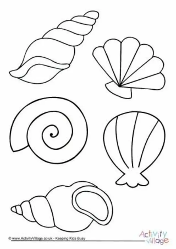 Shell color. Ракушка раскраска. Ракушка раскраска для детей. Ракушка трафарет. Морские ракушки раскраски для детей.