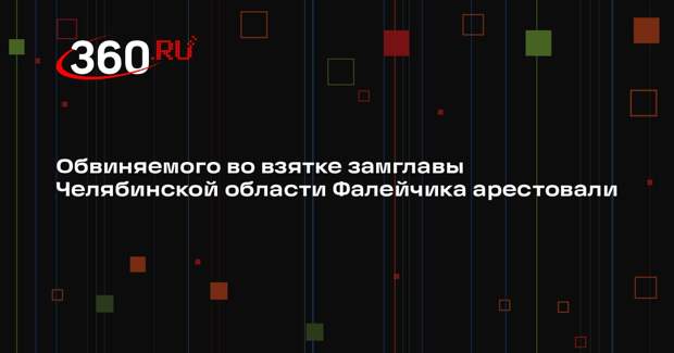 Басманный суд арестовал замглавы Челябинской области Фалейчика до 12 апреля