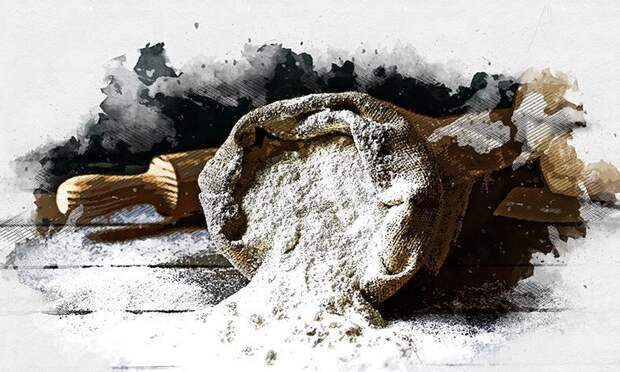 В Орловской муке не нашли насекомых