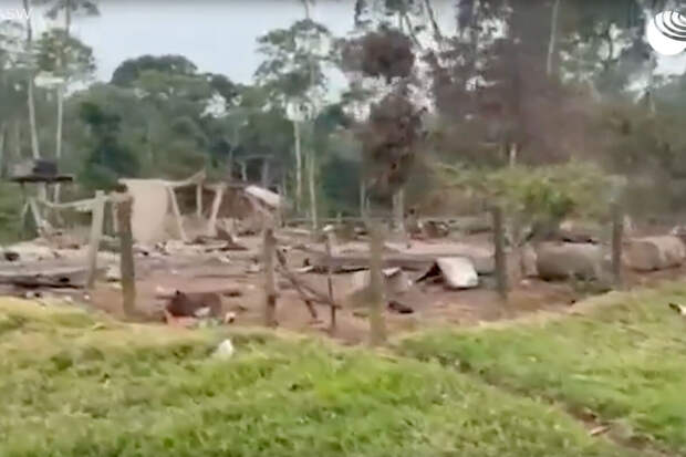 NYT: США нанесли удар по молочной ферме в Эквадоре вместо лагеря наркоторговцев