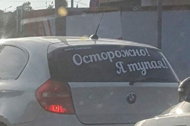 Подборка картинок. Вечерний выпуск (30 фото)