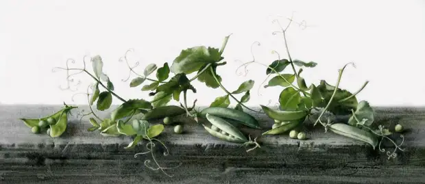 �������� ��������� ��������� �����. ����� 1. ���������� � ������� � �������.