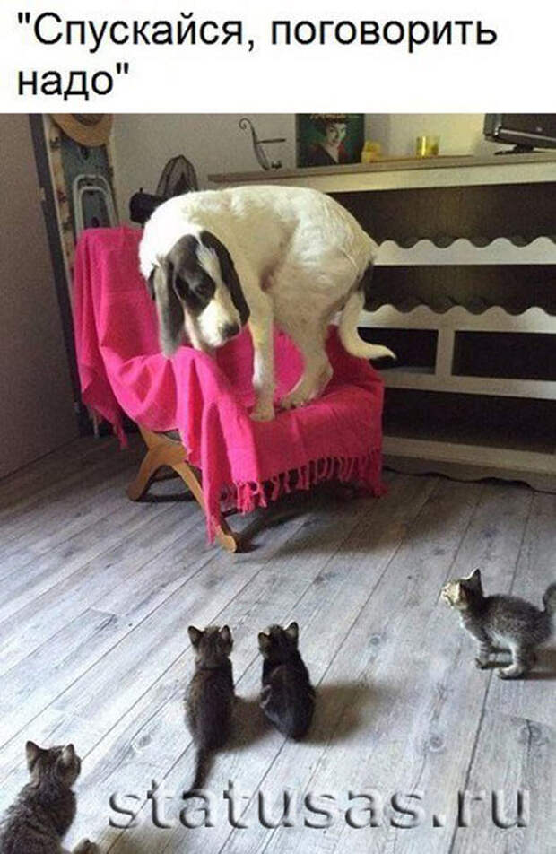 Поговорить надо