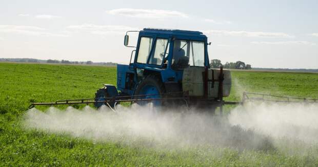 Контакт с пестицидами до зачатия и во время беременности связан с более низкими оценками по шкале Апгар