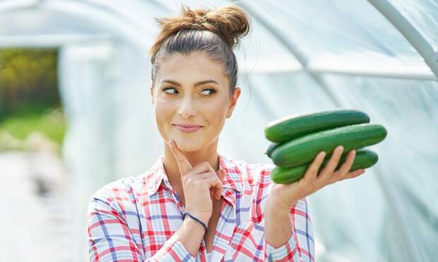 О влиянии арбуза и огурцов на работу почек, рассказала профессор Волкова