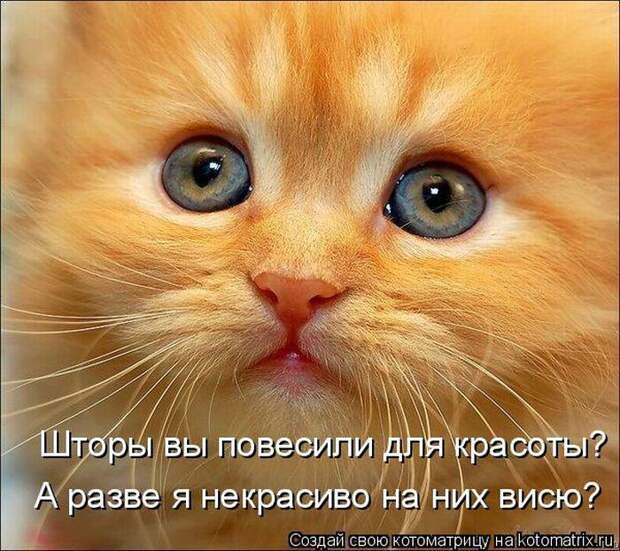 Мысли вслух :)