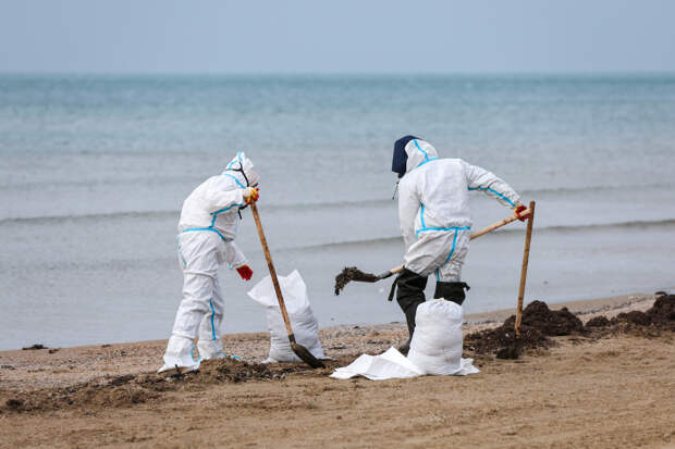 Ученые из Севастополя заявили: бактерии в Черном море начали «питаться» мазутом