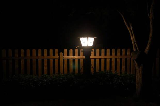 Фото: pixabay.com