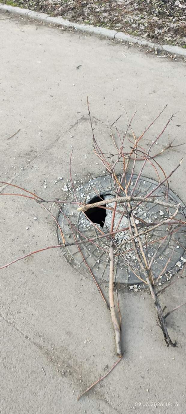 На аллее Победы в Макеевке на Зелёном