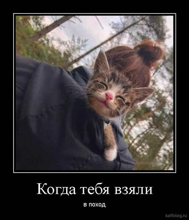 Прикольные демотиваторы со смыслом (35 штук)