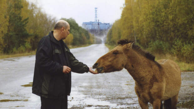 «Человек — это самая большая опасность»: как за 40 лет изменились флора и фауна чернобыльской зоны отчуждения