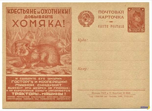 Социальная несправедливость